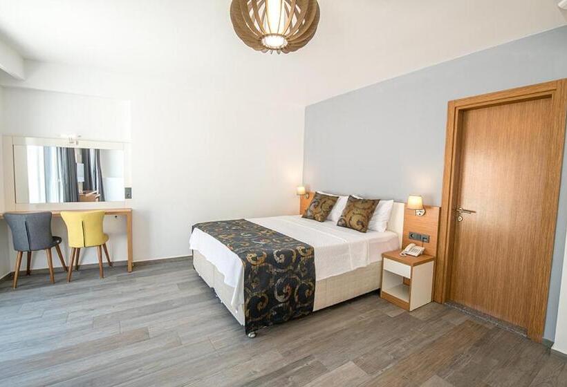 اتاق استاندارد یک نفره, Vip Airport