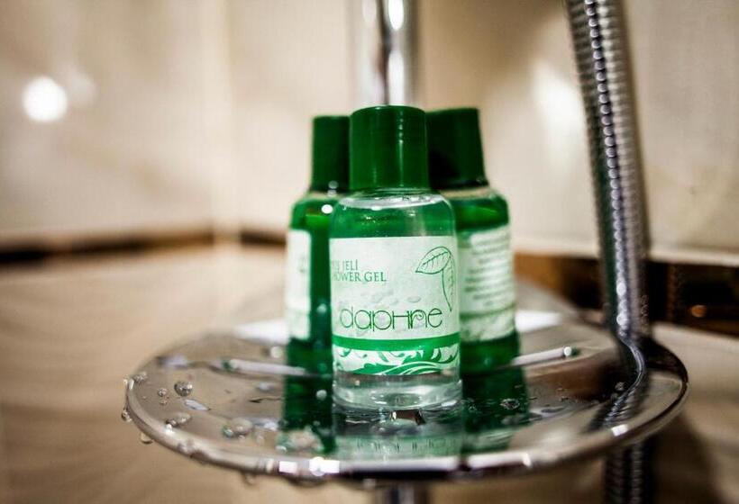 اتاق استاندارد سه نفره, Vip Airport