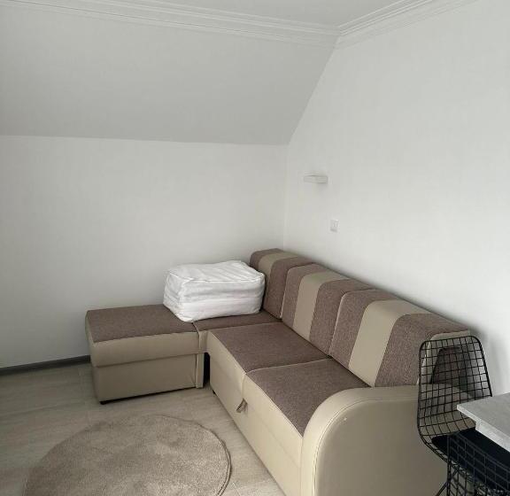 استودیو استاندارد با تراس, Vila Milovanović