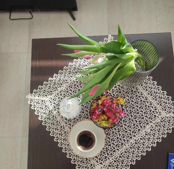 آپارتمان 1 خوابه با بالکن, Vila Milovanović