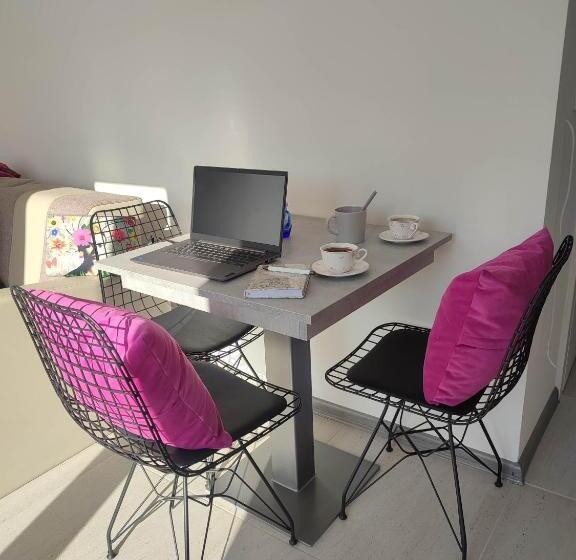 استودیو استاندارد با تراس, Vila Milovanović