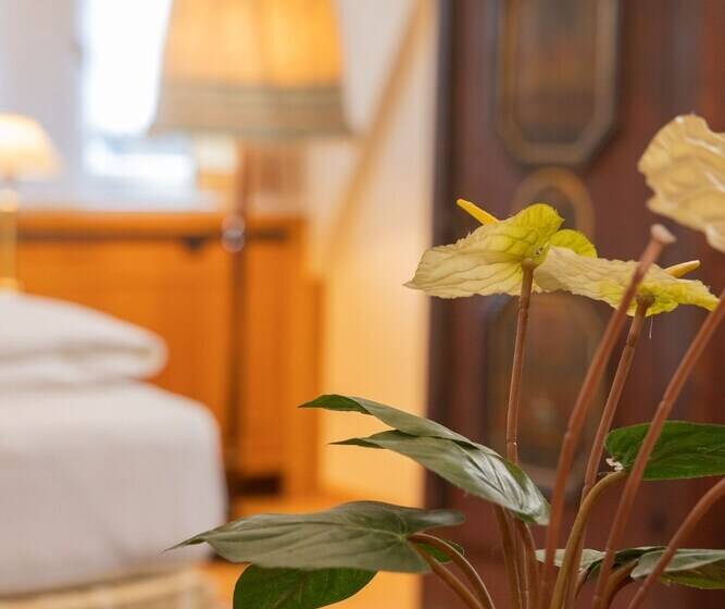 اتاق خانوادگی, Gästehaus Englischer Garten