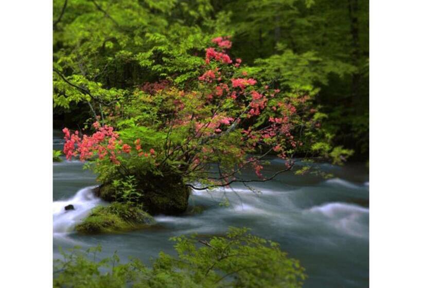 Студия Стандарт, Towada City Hotel Vacation Stay 85224v