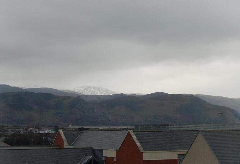 家庭间, The Oasis