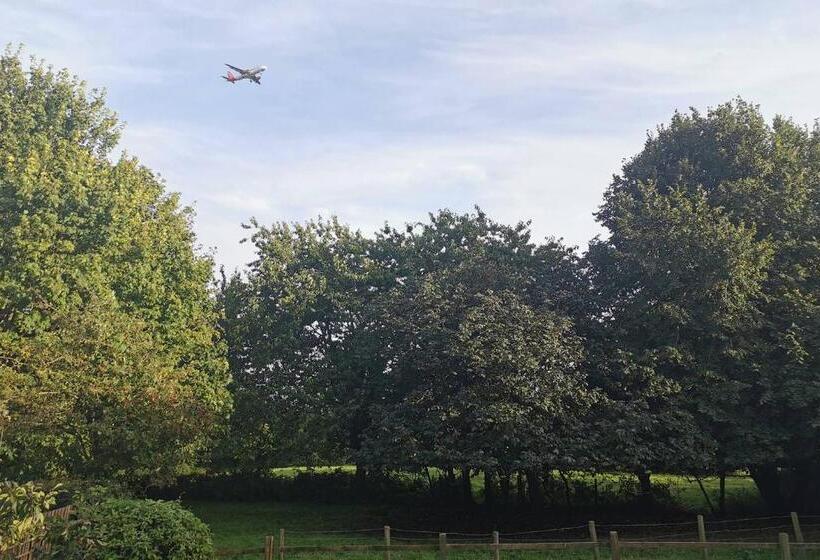 חדר דלוקס, Walton Crescent