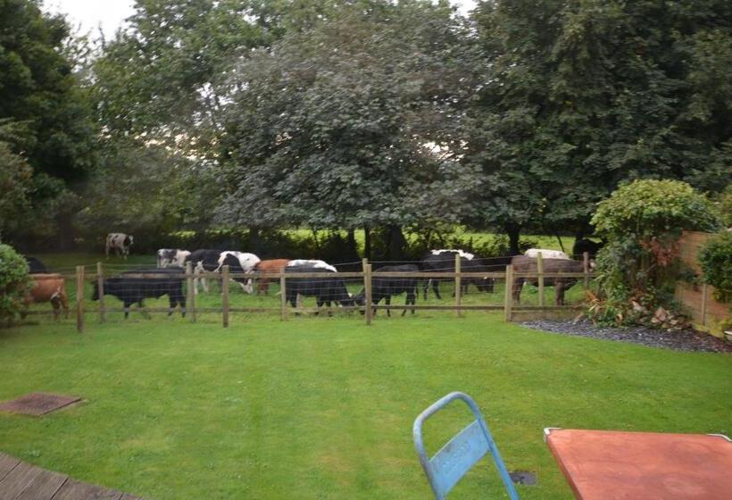 חדר דלוקס, Walton Crescent