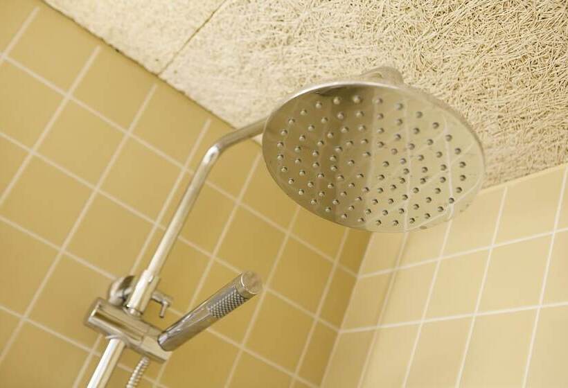 اتاق استاندارد, A Pamplona