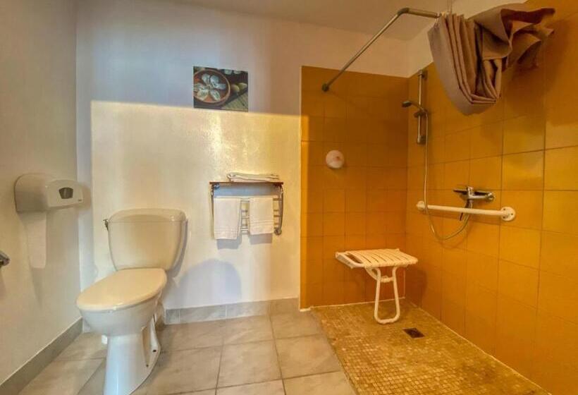 חדר סטנדרט מותאם לאדם עם מוגבלויות, Hôtel Le P'tit Monde