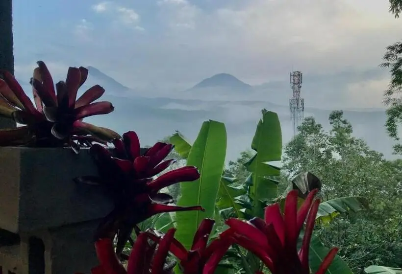 テラス付きスタンダードルーム, Kraras Munduk Guest House & Donbiyu Rendezvous Restaurant