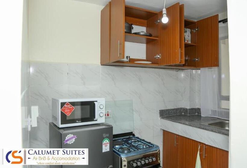 استودیوی سوپریور, Calumet Suites Accommodation