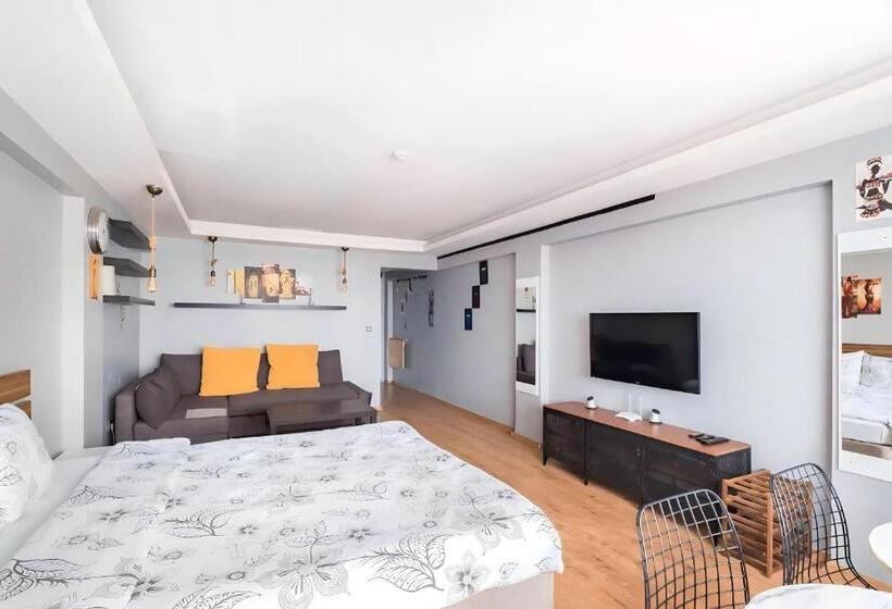 إستوديو قياسى, Handmade