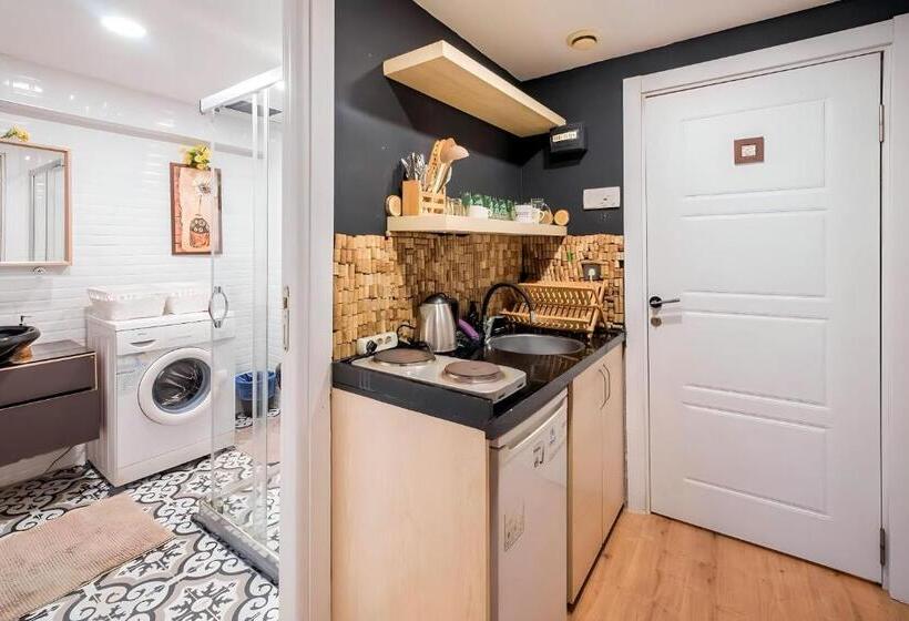 إستوديو قياسى, Handmade