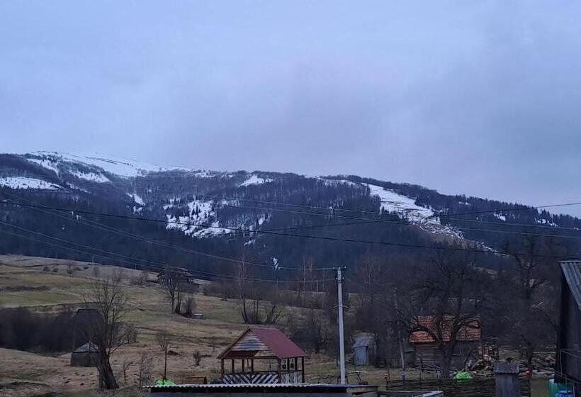 Семейный Номер, лимонний дім