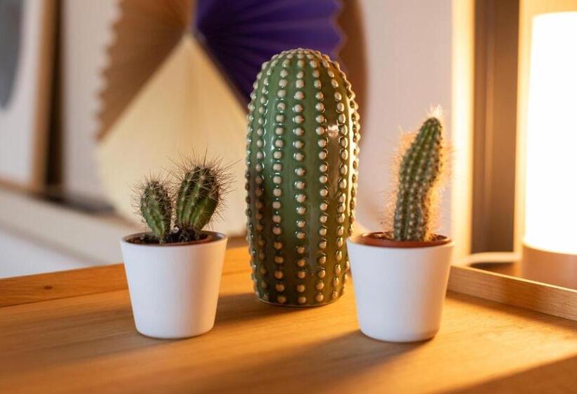 スーペリアスタジオ, Ariv Apartments Zug