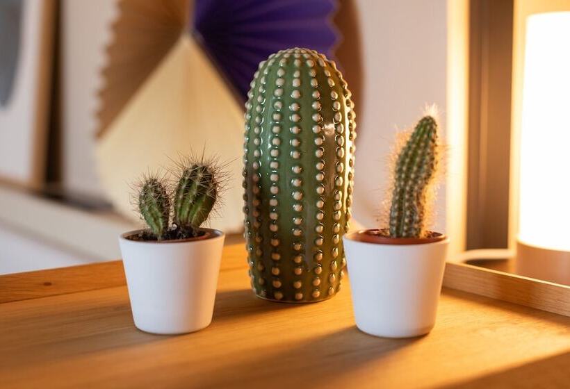 スタンダードスタジオ, Ariv Apartments Zug