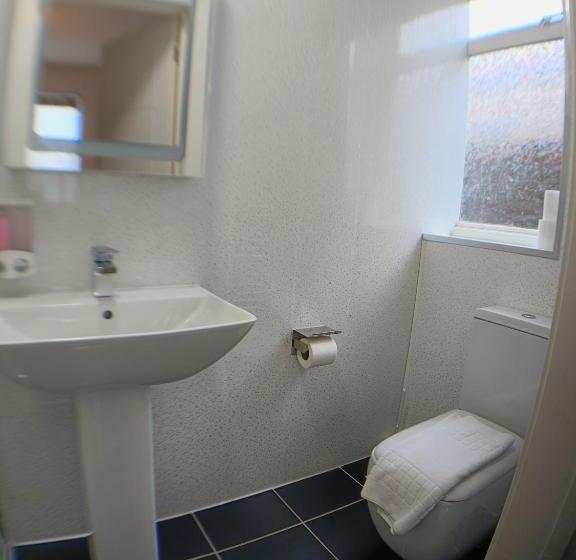 带城市景观的高级房间, Pinewood Guest House