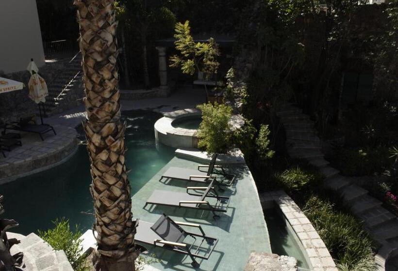 豪华房间, Raiz Hotel Boutique