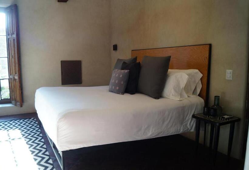 豪华房间, Raiz Hotel Boutique