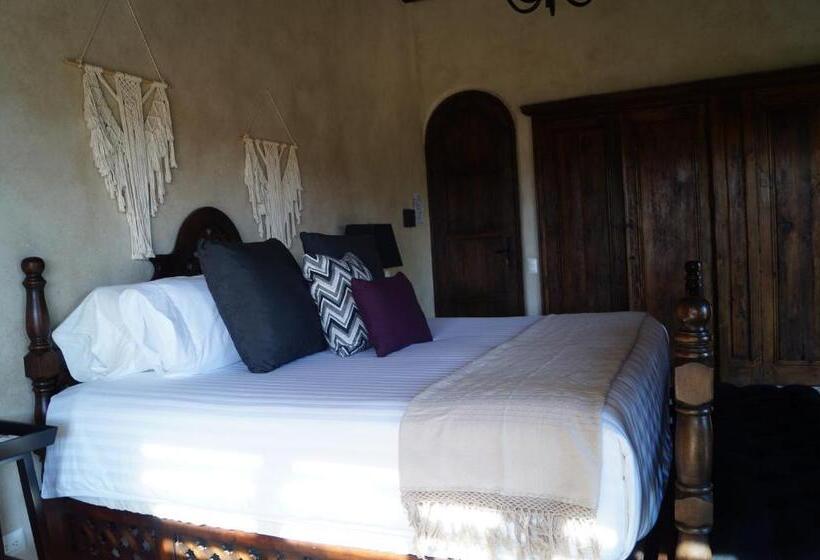 小型套房, Raiz Hotel Boutique