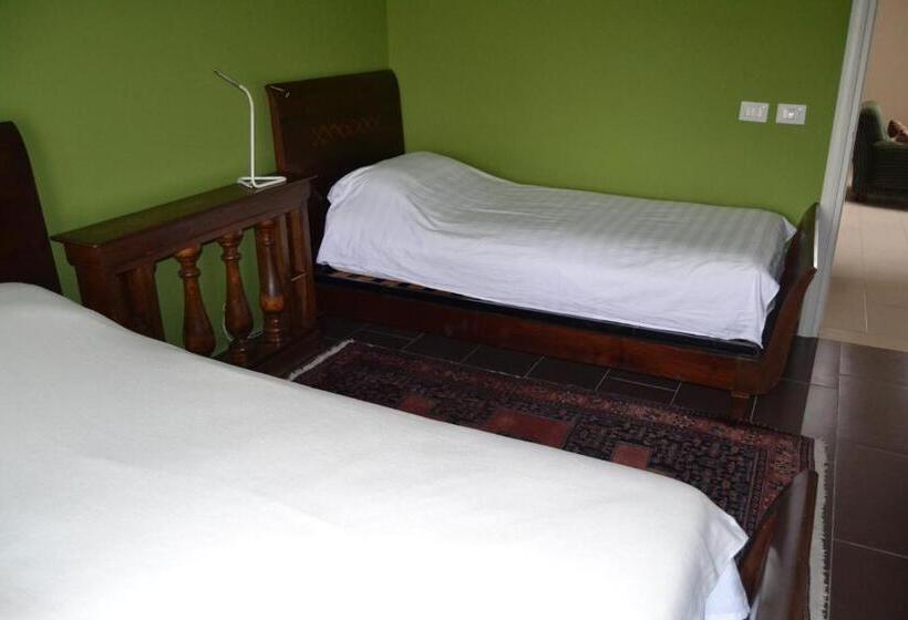 이코노미 룸, Kodra E Godenve