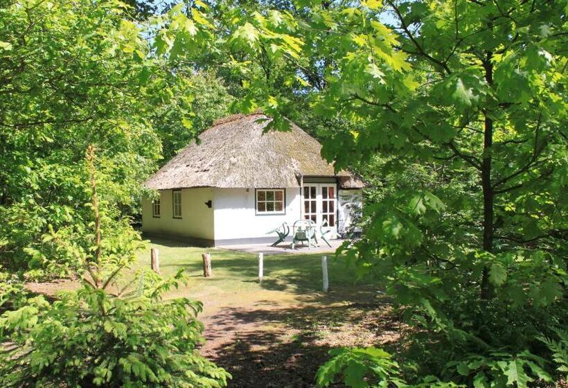 בקתה סטנדרטית, Summio Bungalowpark Herperduin