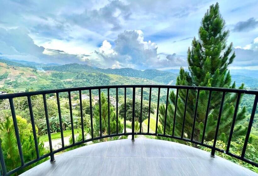 חדר דלוקס, Jr Resort