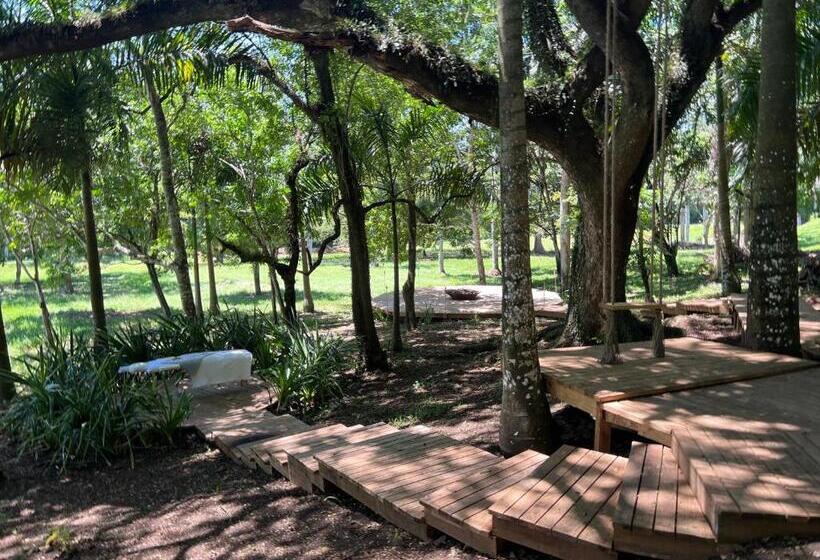 חדר דלוקס עם מיטת קינג, Oya   Wellness Eco Resort & Retreat