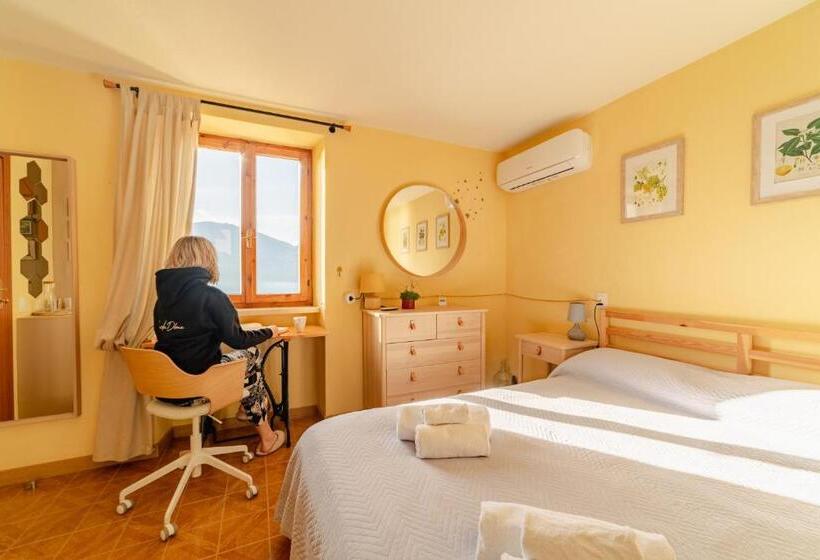 غرفة قياسية رباعية, Garda Doma