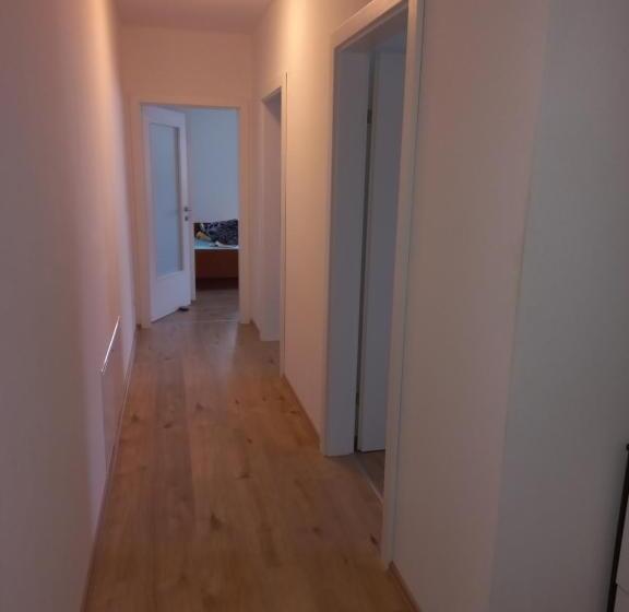 شقة غرفة واحدة, Ferienwohnung