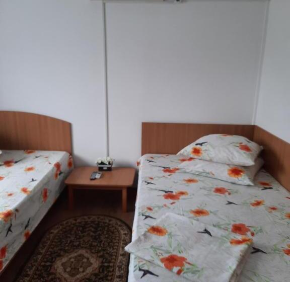 Camera Familiare, Vila Romina