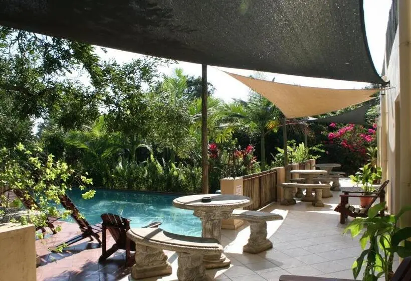 プールビュースタンダードルーム, Villa Royal Palm