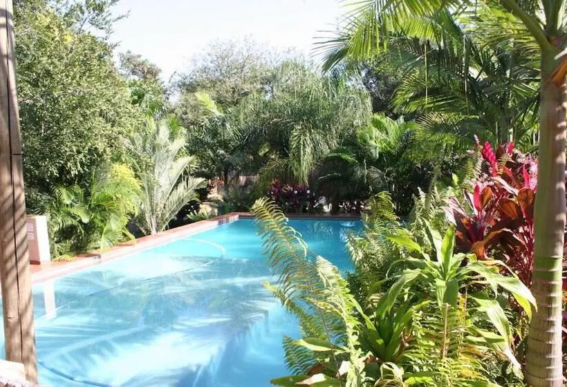 プールビュースタンダードルーム, Villa Royal Palm