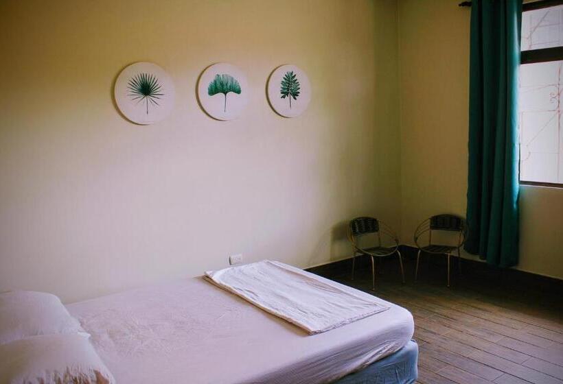 غرفة قياسية حمام مشترك, Straycat