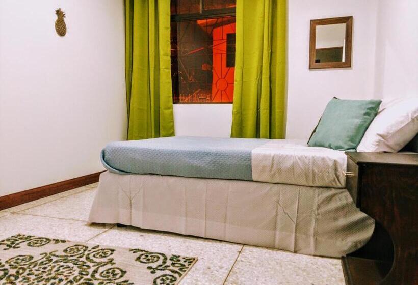 غرفة قياسية حمام مشترك, Straycat