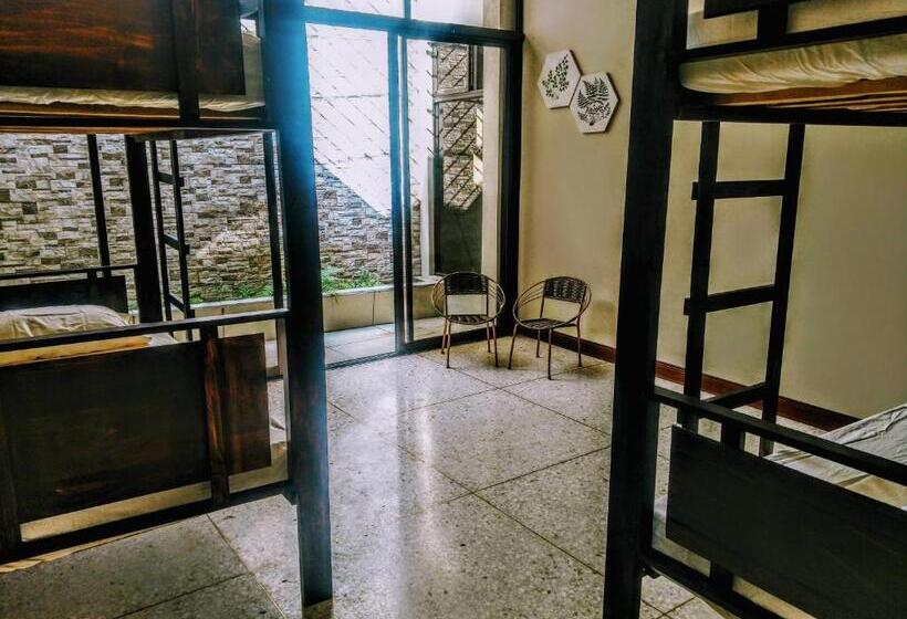 غرفة قياسية ثلاثية حمام مشترك, Straycat