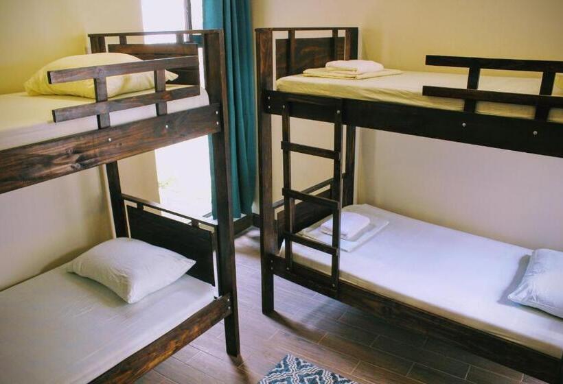 سرير فى غرفة مشتركه, Straycat