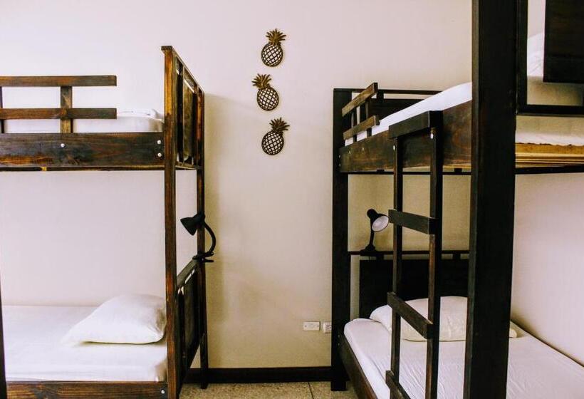 سرير فى غرفة مشتركه, Straycat