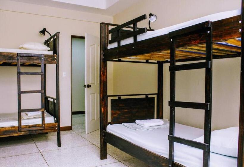 سرير فى غرفة مشتركه, Straycat