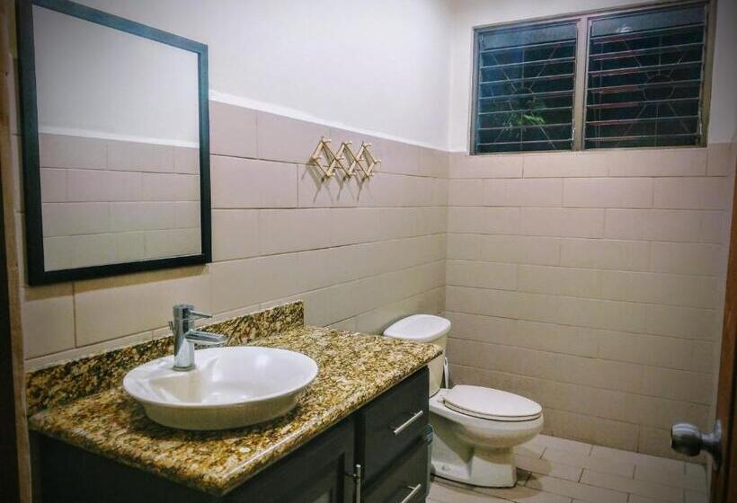 سرير فى غرفة مشتركه, Straycat