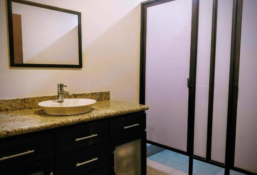 غرفة قياسية فردية حمام مشترك, Straycat