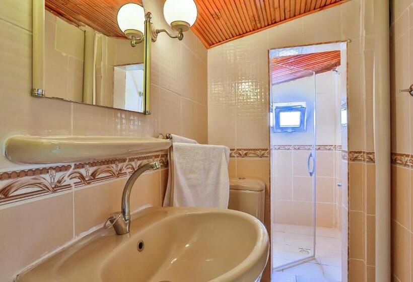 Номер Стандарт Вид на Бассейн, Club Hotel Gultur