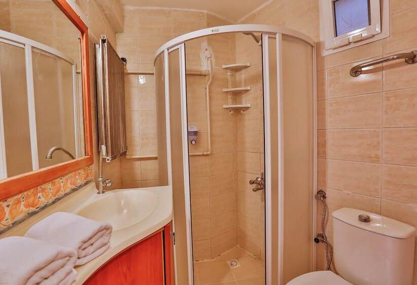 اتاق استاندارد چهارنفره با چشم‌انداز باغ, Club Hotel Gultur