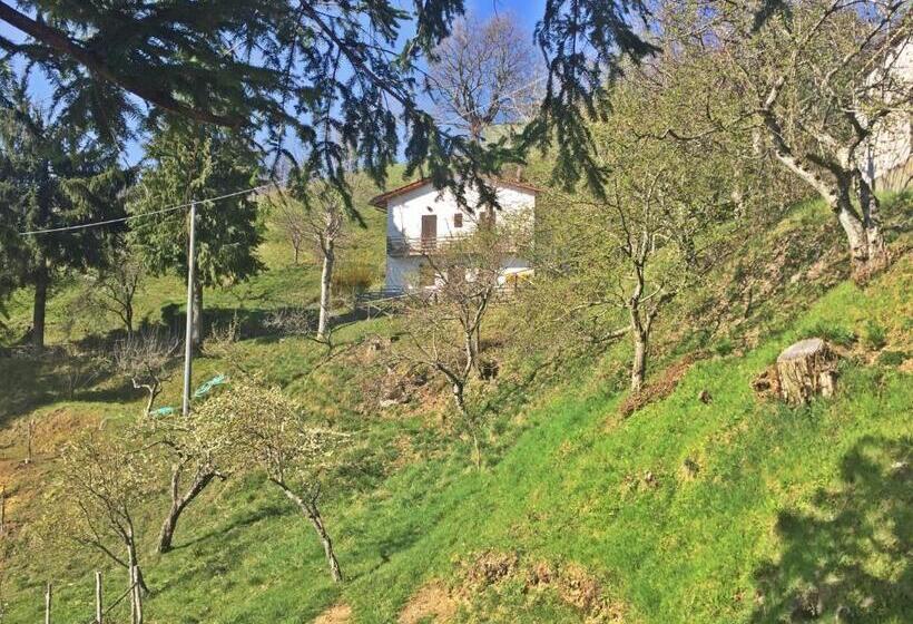 스탠다드 룸, Agriturismo Bicocchi