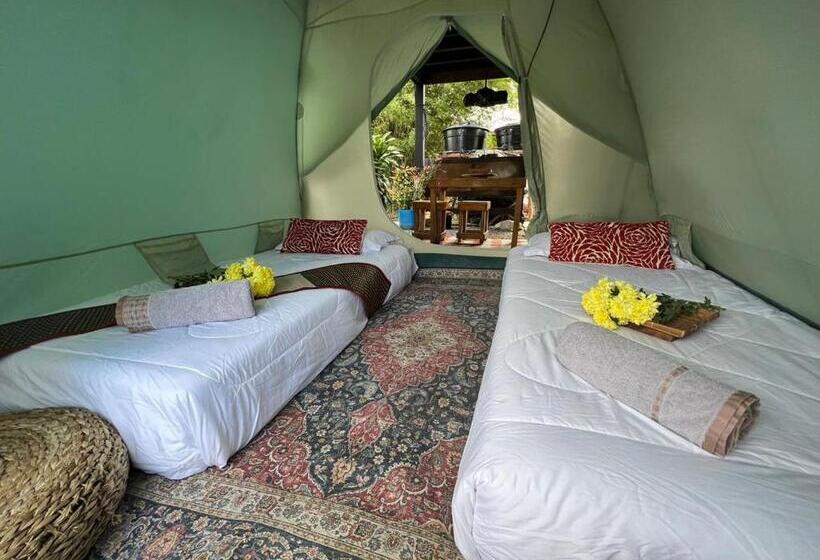 Standard Tent, Kejora Homestay