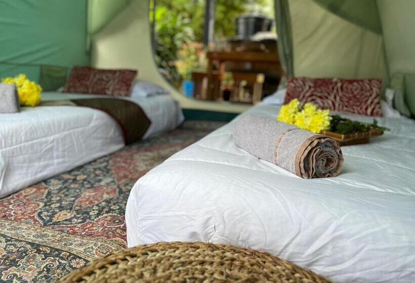 Standard Tent, Kejora Homestay
