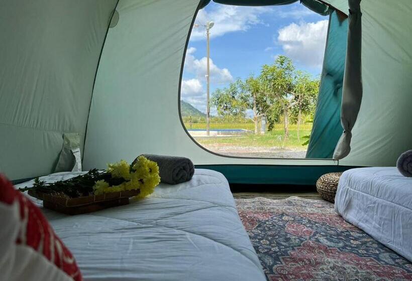 Standard Tent, Kejora Homestay