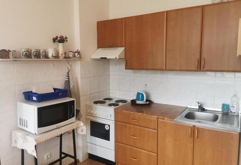 Апартаменты 1 Спальня, Penzion Dalibor