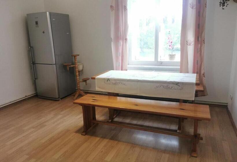 Апартаменты 1 Спальня, Penzion Dalibor