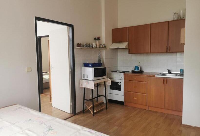 Апартаменты 1 Спальня, Penzion Dalibor