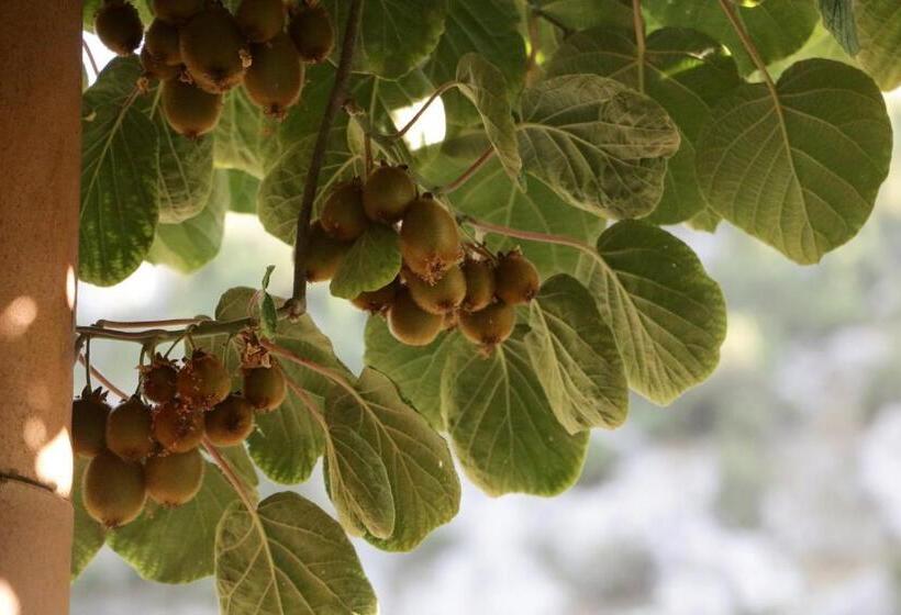 Casa 2 Dormitoris, Villa San